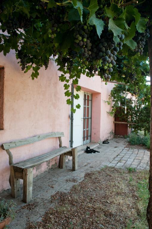Hosteria Rural Viejo Roble San Rafael  Exteriör bild